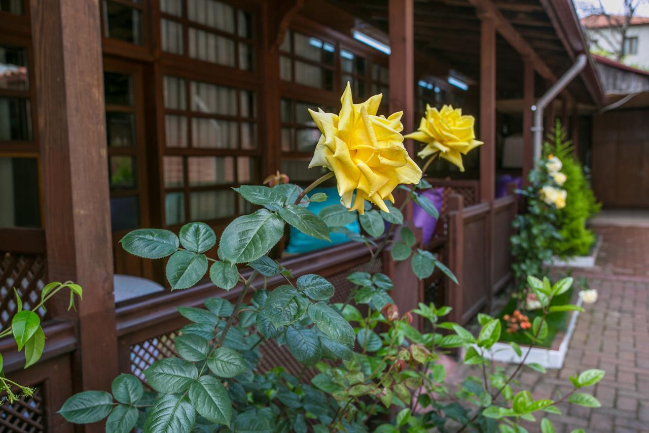Carsi Pansiyon Amasra Bagian luar foto
